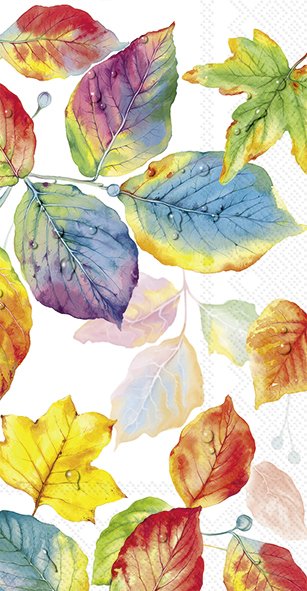 Colorful Leaves