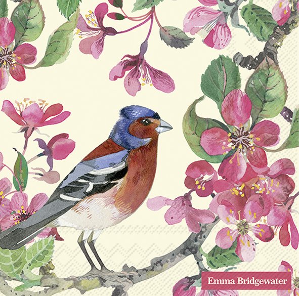 Blossom