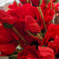 Mohn