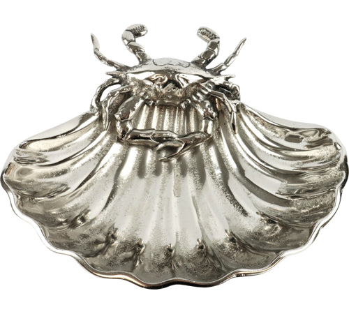 Muschelschale Ocean