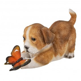 Hund mit Schmetterling
