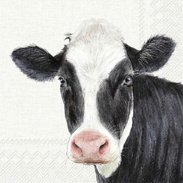 Farm Cow