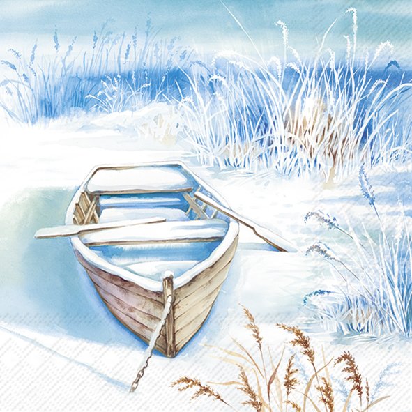 The Boat in the Ice
