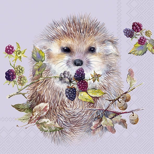 Forest Hedgehog