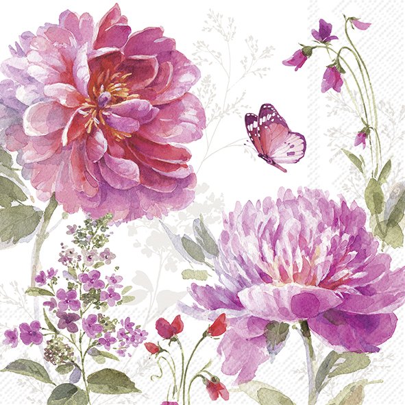 Jardin Rose
