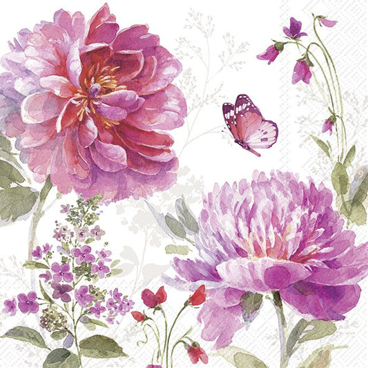 Jardin Rose
