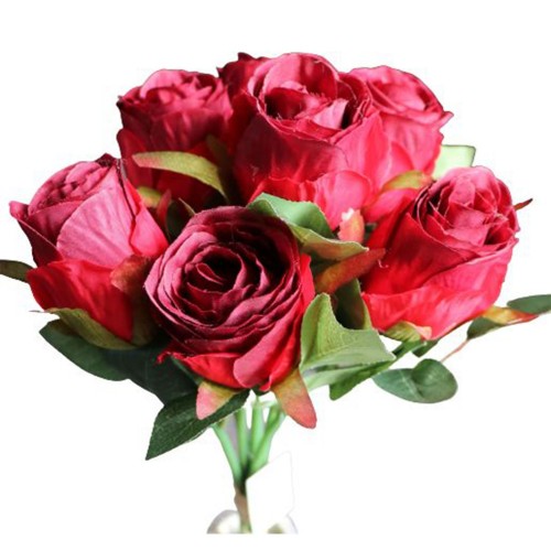 Rosen Bund "Carlotta"